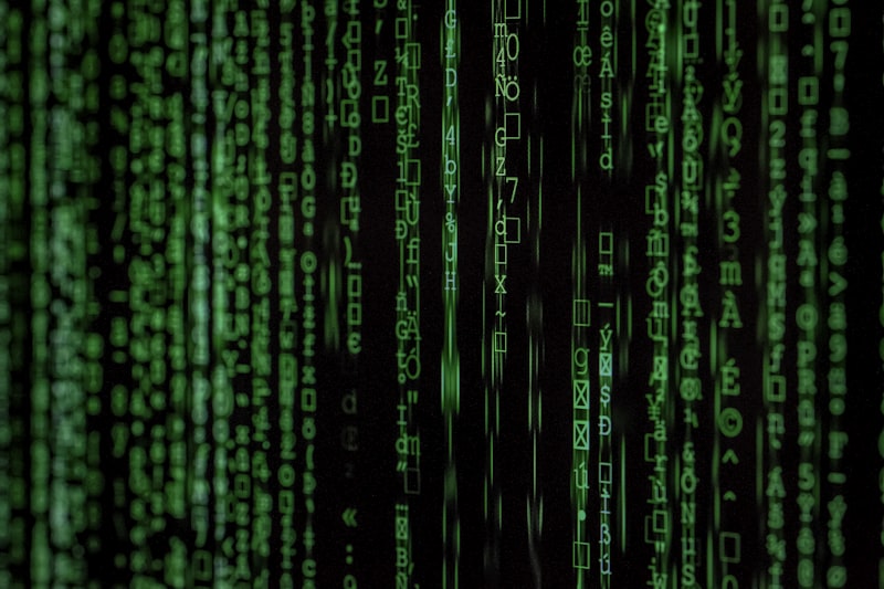 Data Privacy Protection